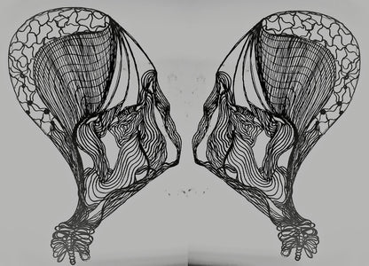 Arachnoïdea